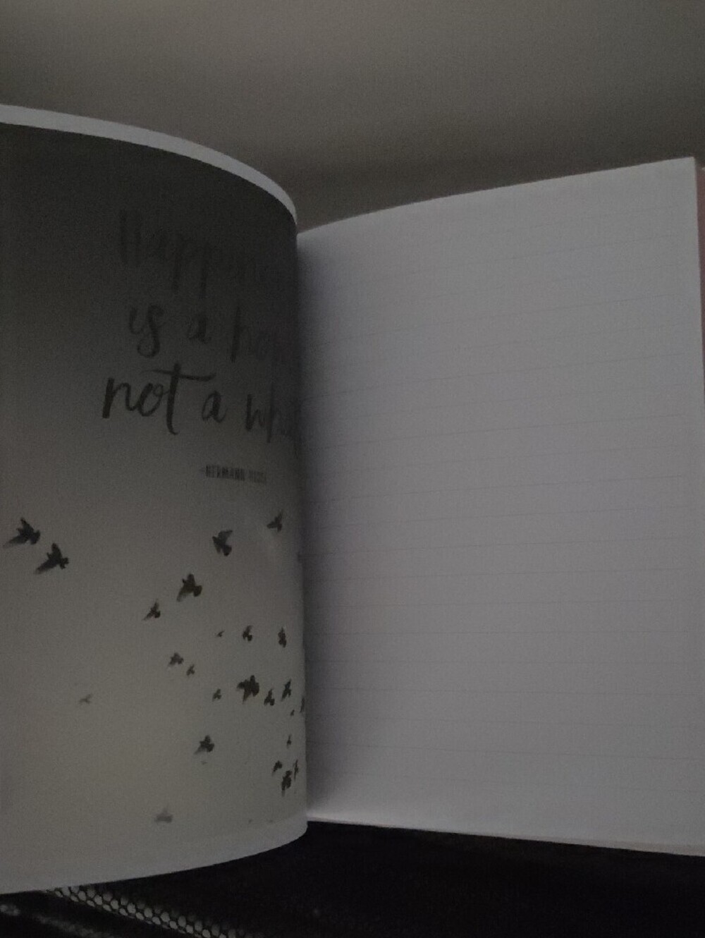 Finding Gratitude Guided Journal - Picture 2 of 4